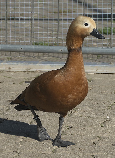 场比赛结束