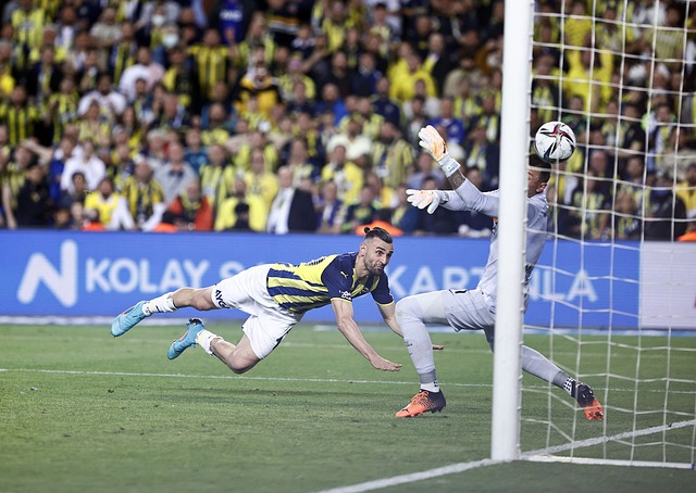 间的运动 间的运动