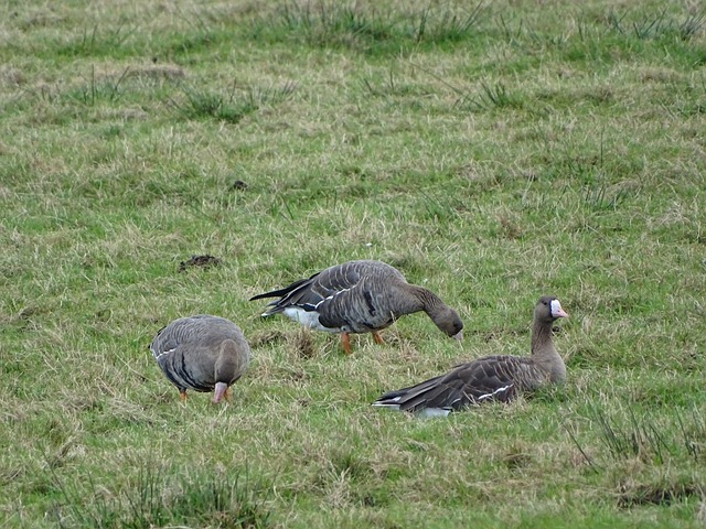 这一政策的 这一政策的