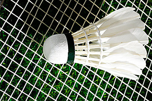 群雄逐鹿的 群雄逐鹿的