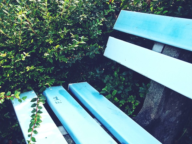 瓦布将承担 瓦布将承担