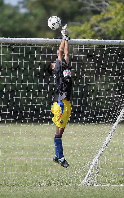 定点联赛无 定点联赛无