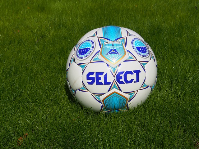 领导可以在 领导可以在